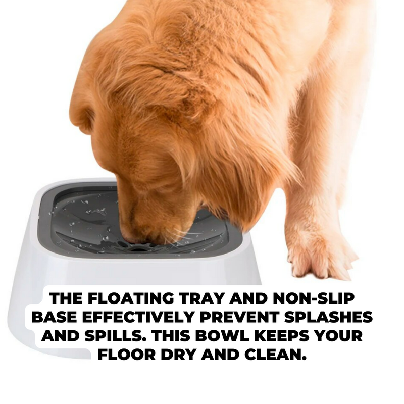 No-Spill Pet Water Bowl - 1.5L Dispenser Large Capacity