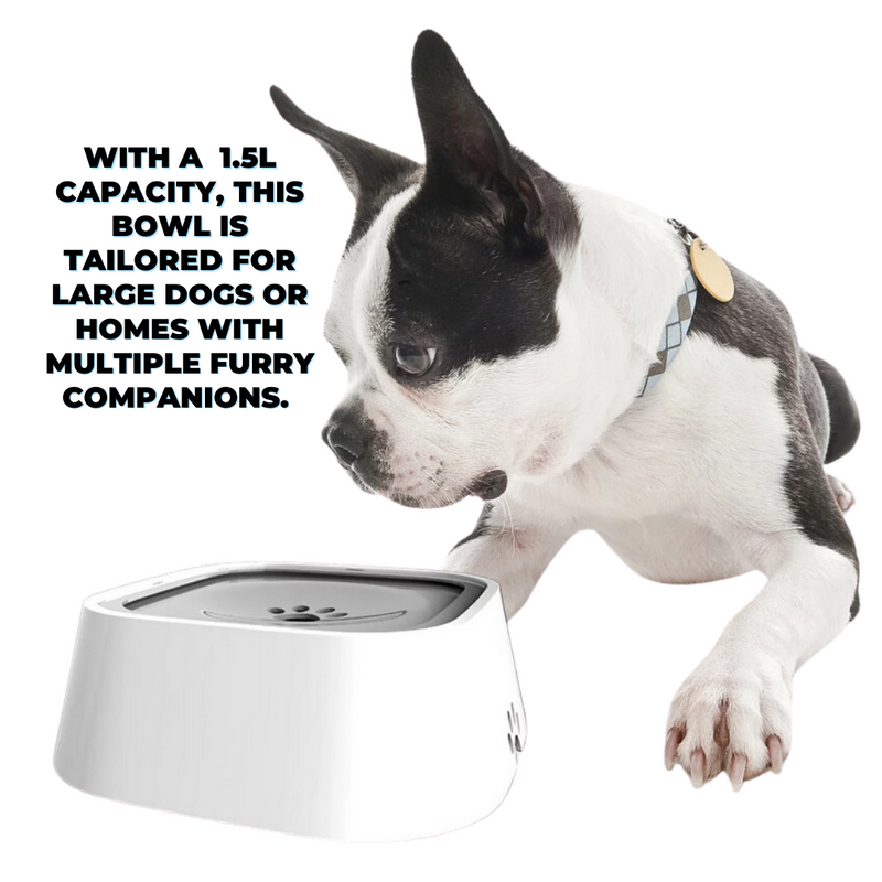 No-Spill Pet Water Bowl - 1.5L Dispenser Large Capacity