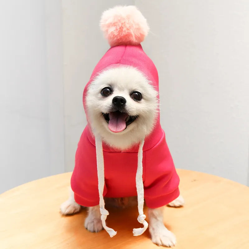 Cute an Funny Pet Costume Hoodies