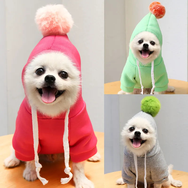 Cute an Funny Pet Costume Hoodies