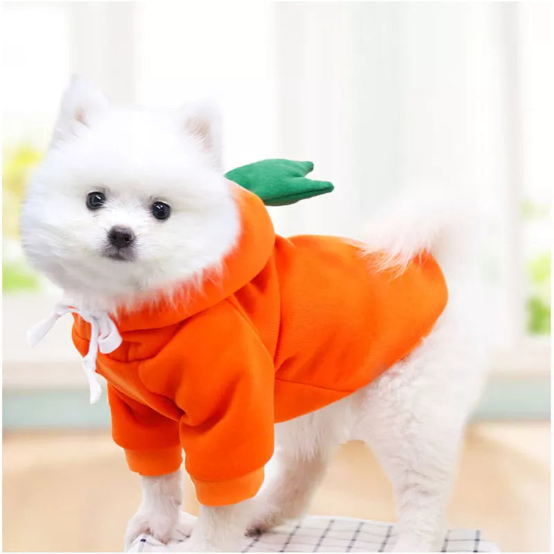 Cute an Funny Pet Costume Hoodies