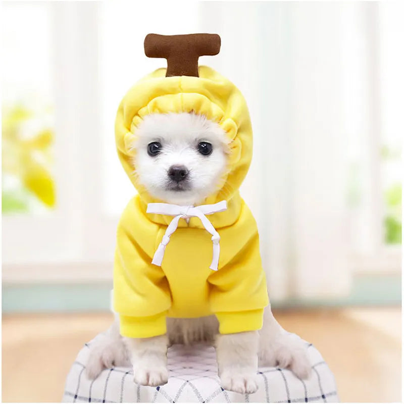 Cute an Funny Pet Costume Hoodies