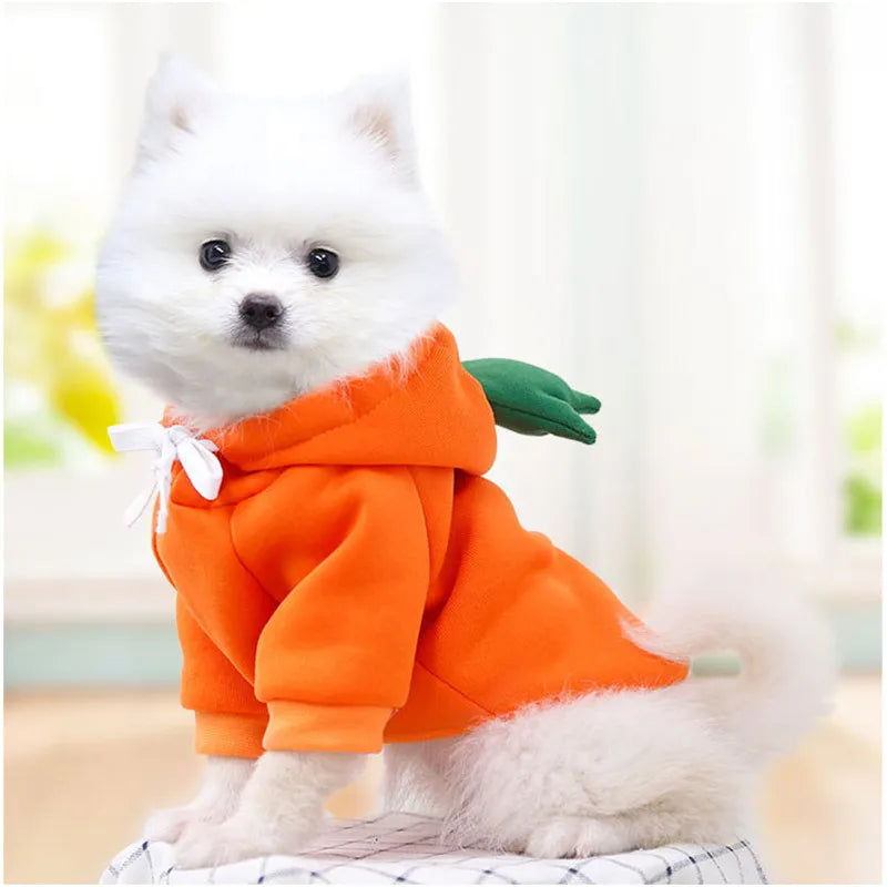 Cute an Funny Pet Costume Hoodies