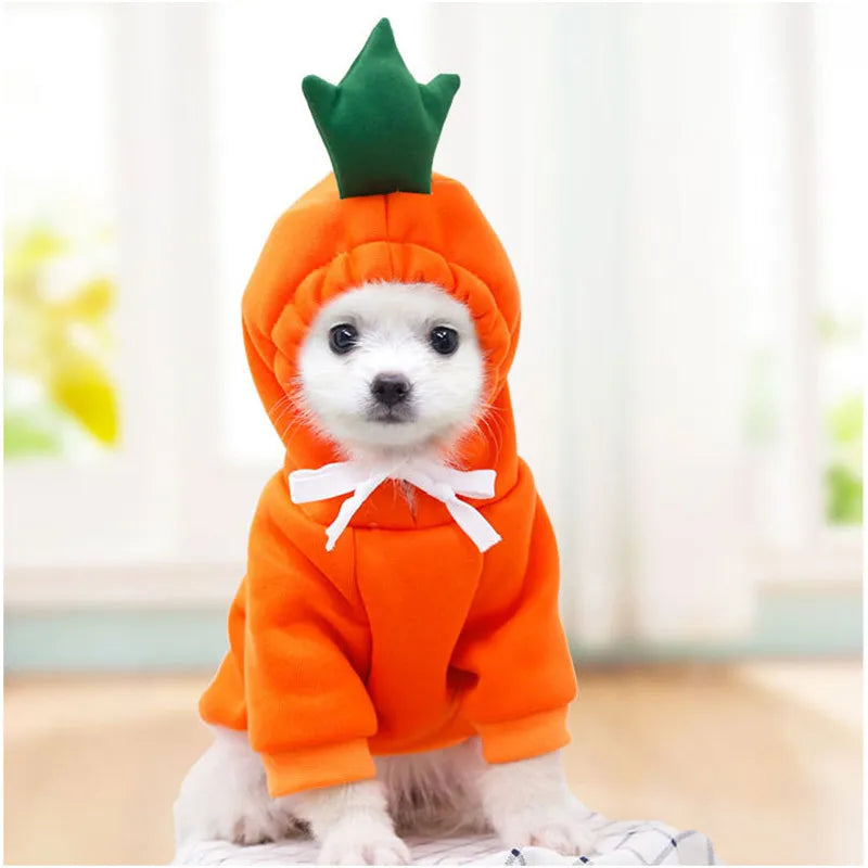 Cute an Funny Pet Costume Hoodies