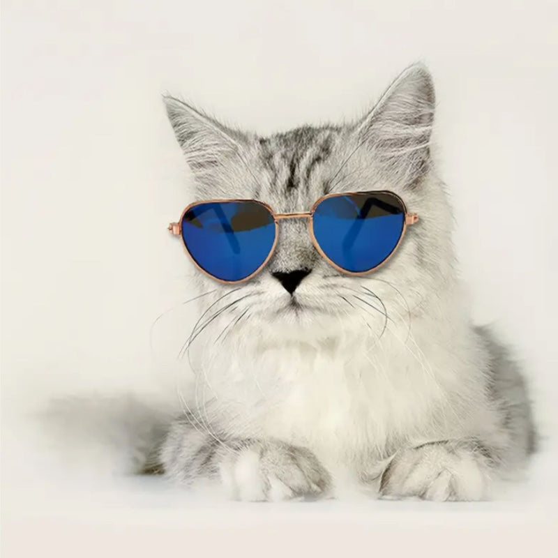 Creative Fashion Mini Pet Sunglasses