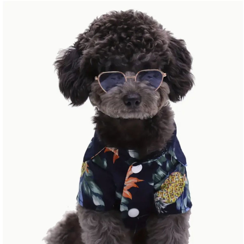 Creative Fashion Mini Pet Sunglasses