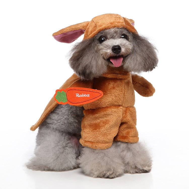 Funny Pet Costumes