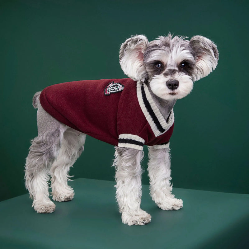 Pet College Sweater