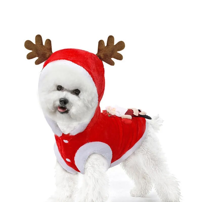 Dog Cat Christmas Costume