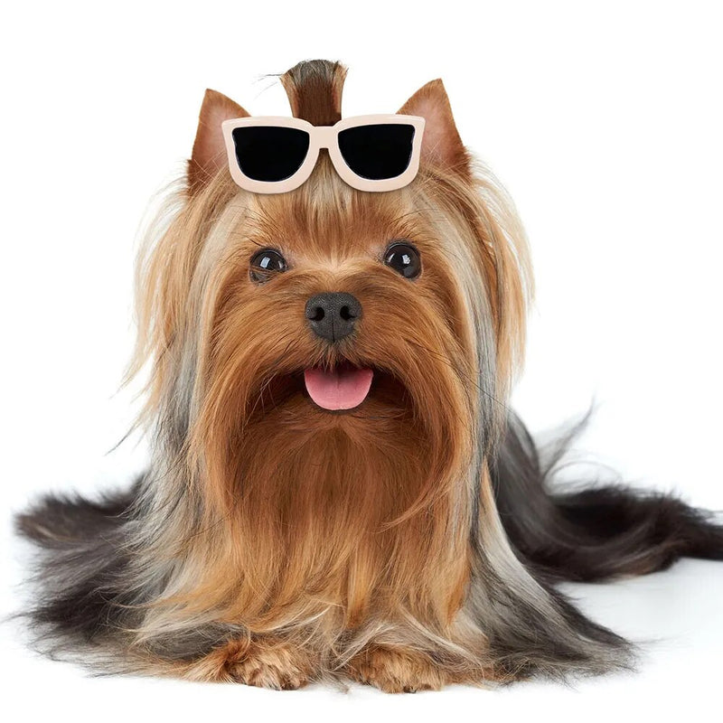 Dog Hair Clip Glasses Shape