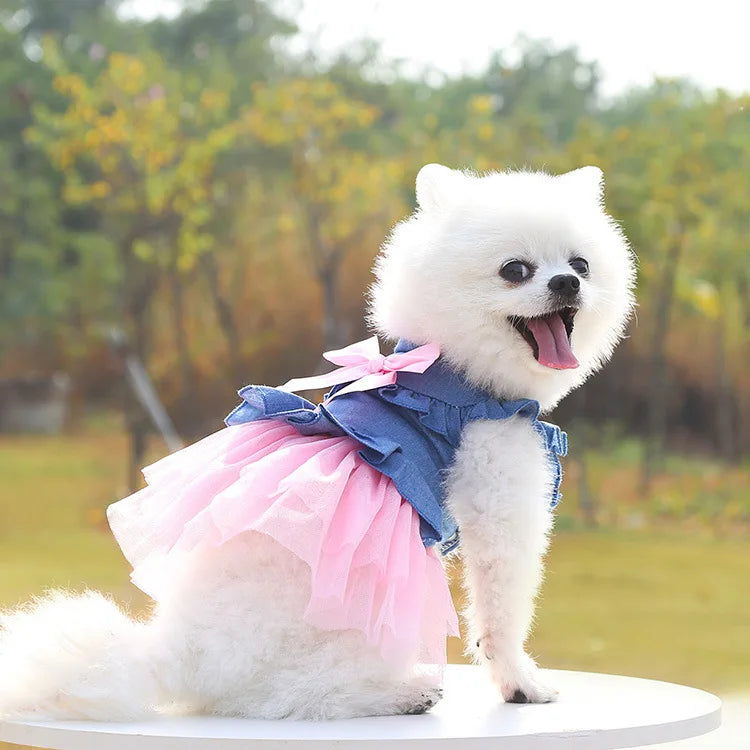 Princess-Style Pet Dress