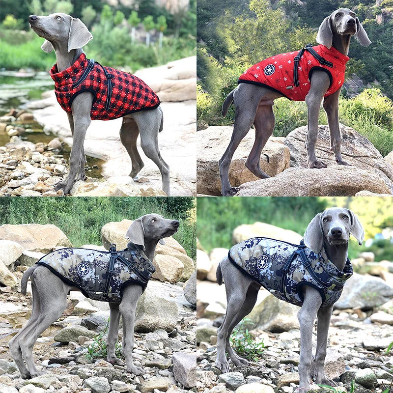 Dog Jacket With Harness -Waterproof