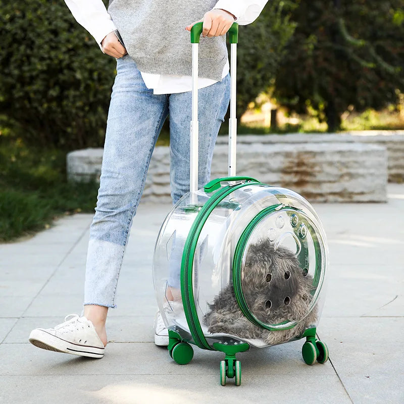 Transparent Suitcase Breathable Pet Carrier