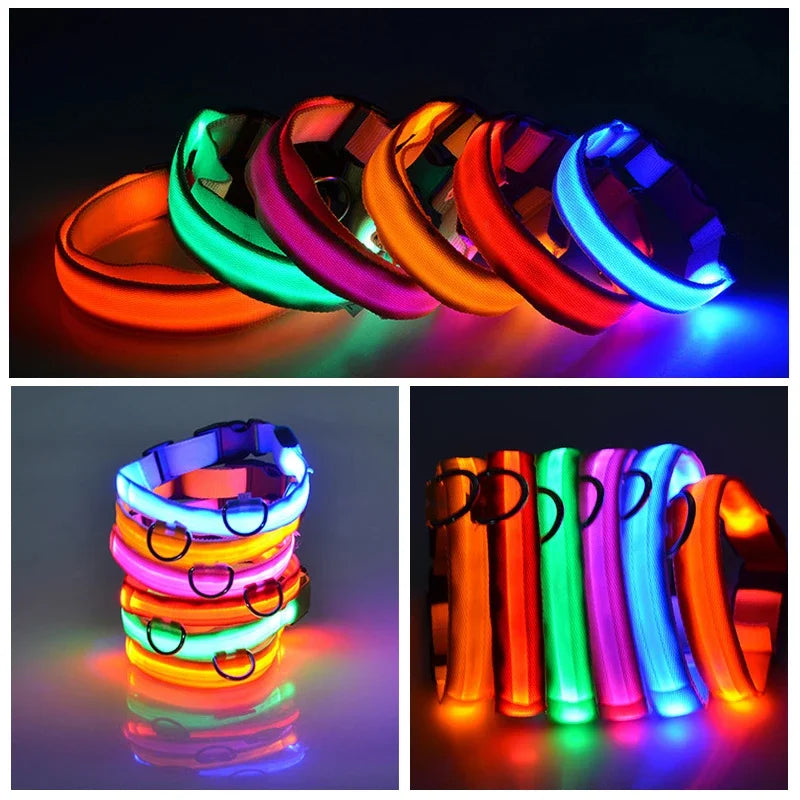 Dog Collar for Night Walking - LED