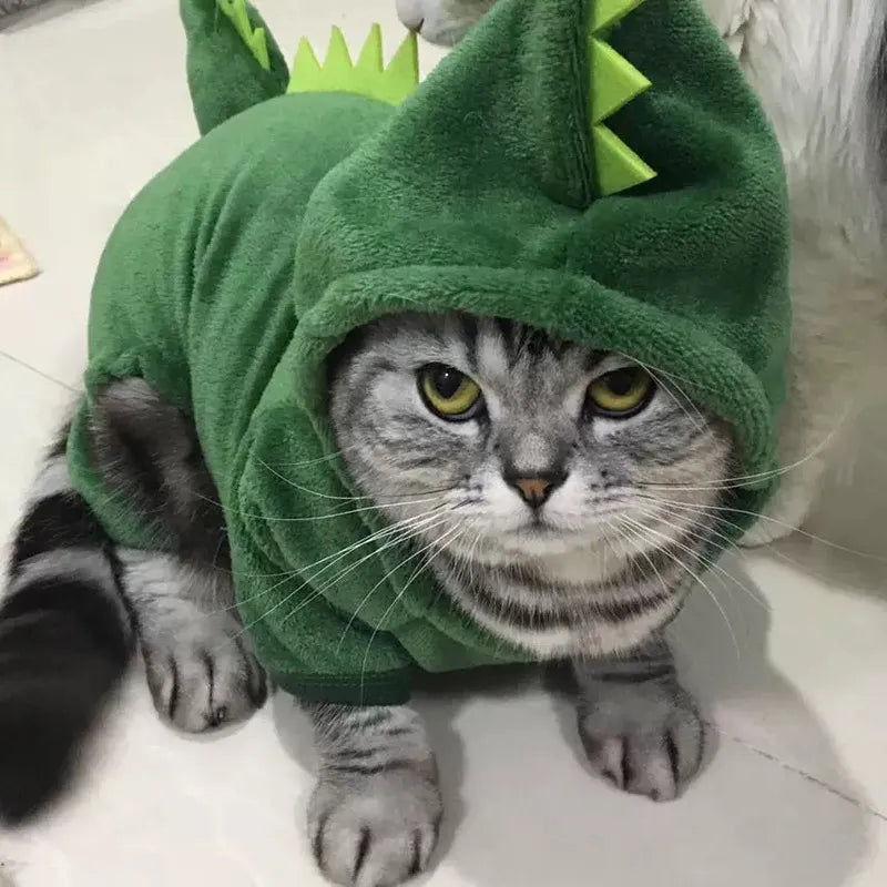 Dinosaur Cat and Dog Costume