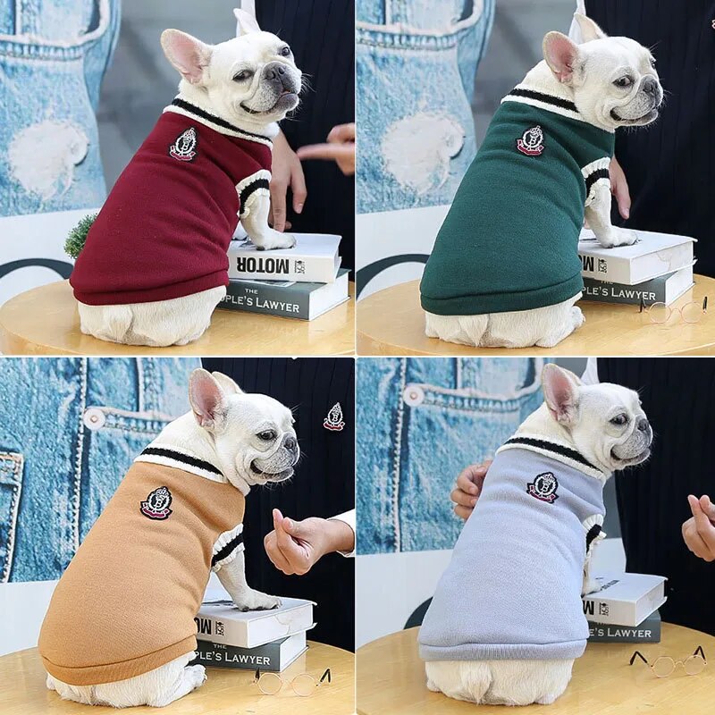 Pet College Sweater