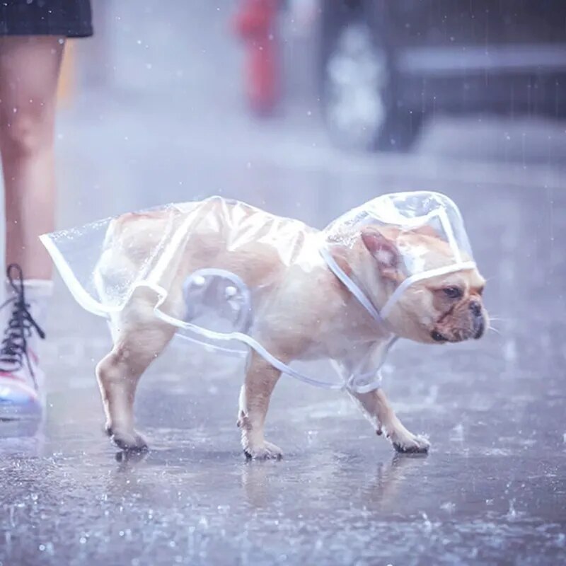 Lightweight Clear Dog Raincoat