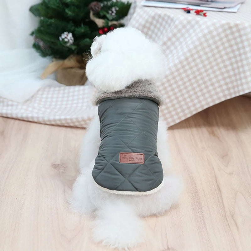 Essential Winter Dog Coat