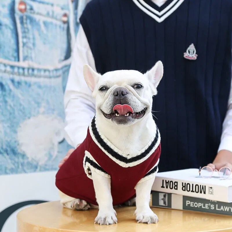 Pet College Sweater