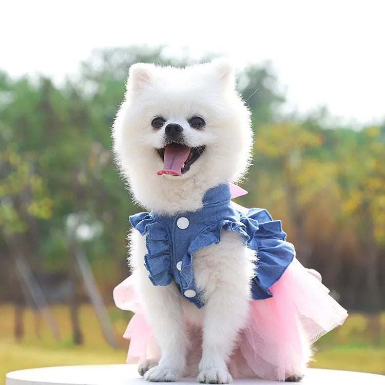 Princess-Style Pet Dress