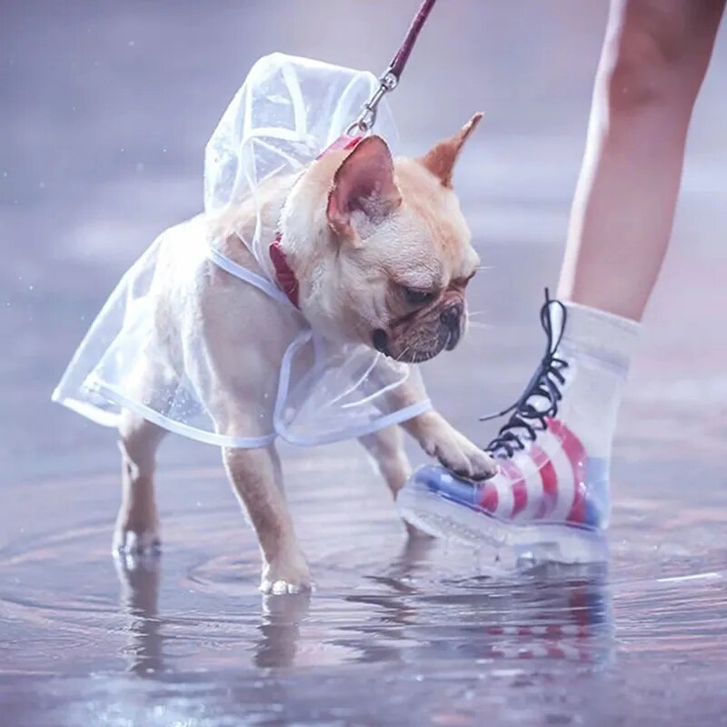 Lightweight Clear Dog Raincoat