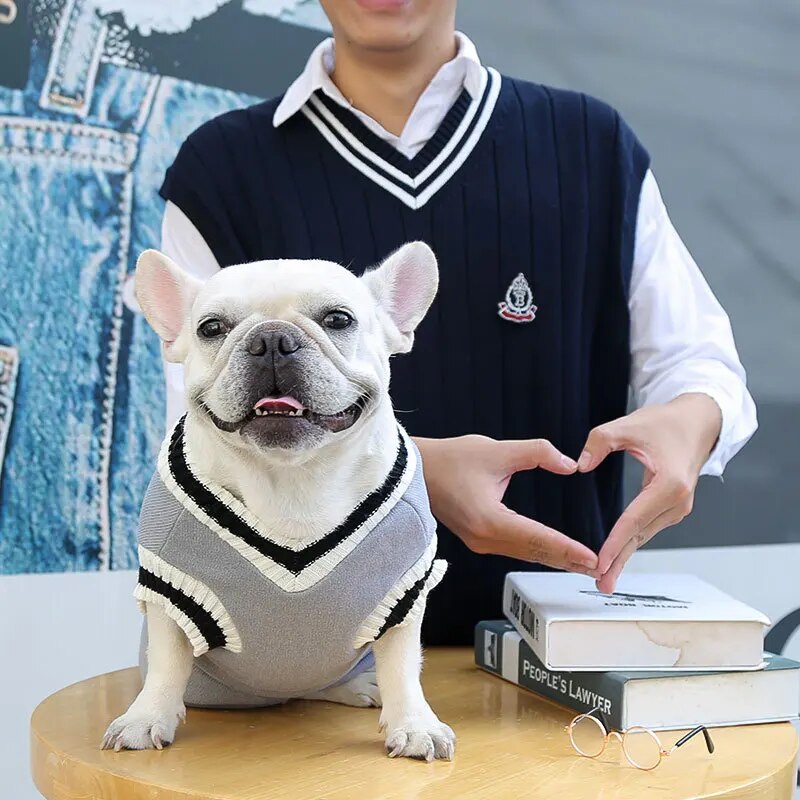 Pet College Sweater