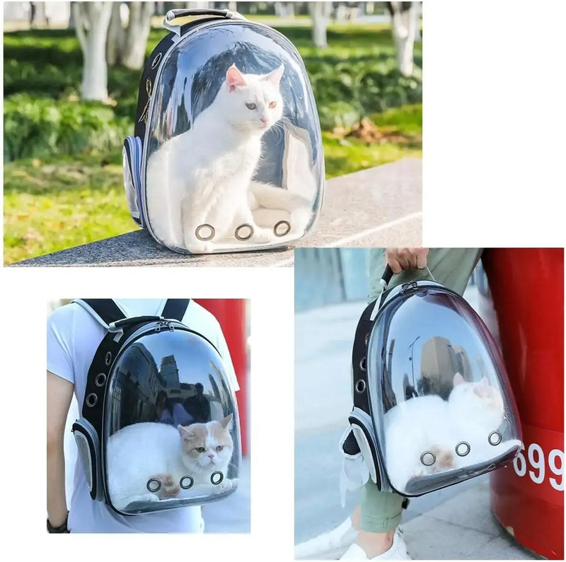 Clear Backpack Pet Carrier