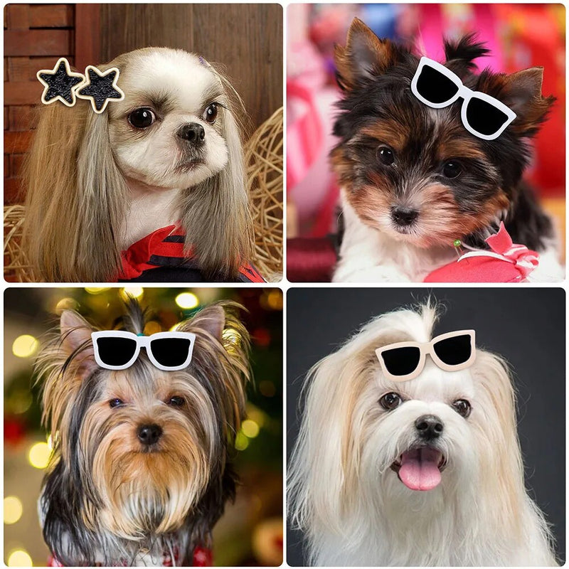 Dog Hair Clip Glasses Shape