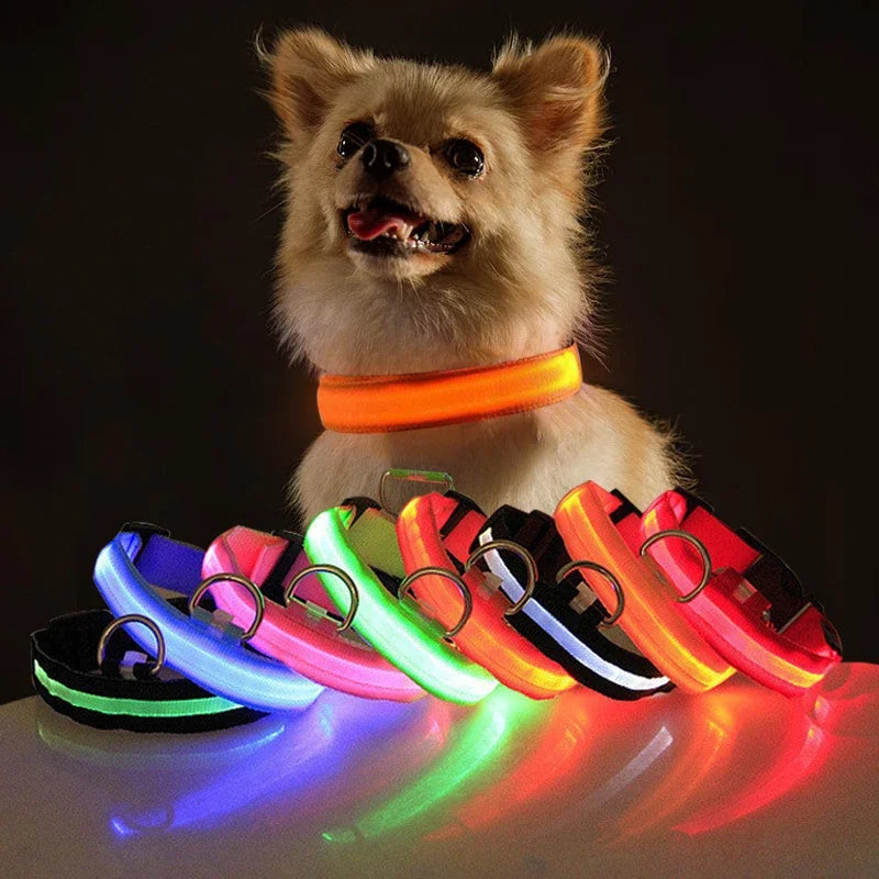 Dog Collar for Night Walking - LED