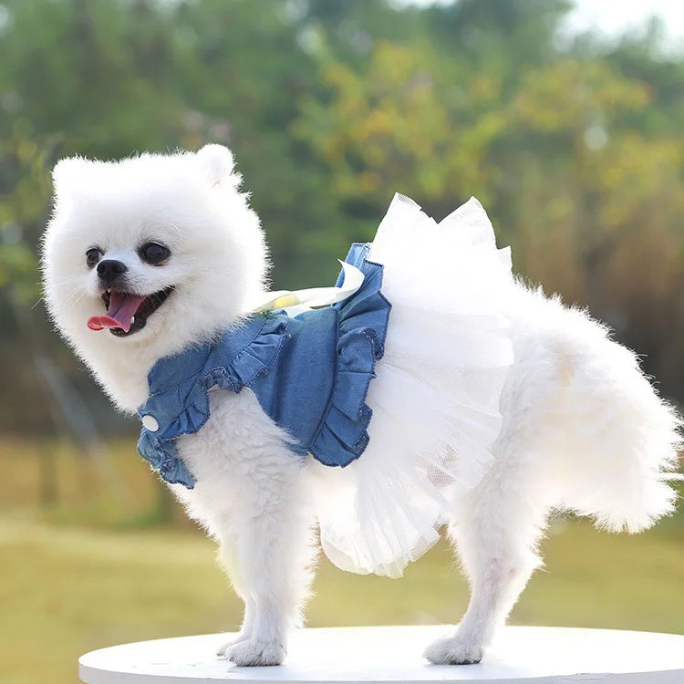 Princess-Style Pet Dress