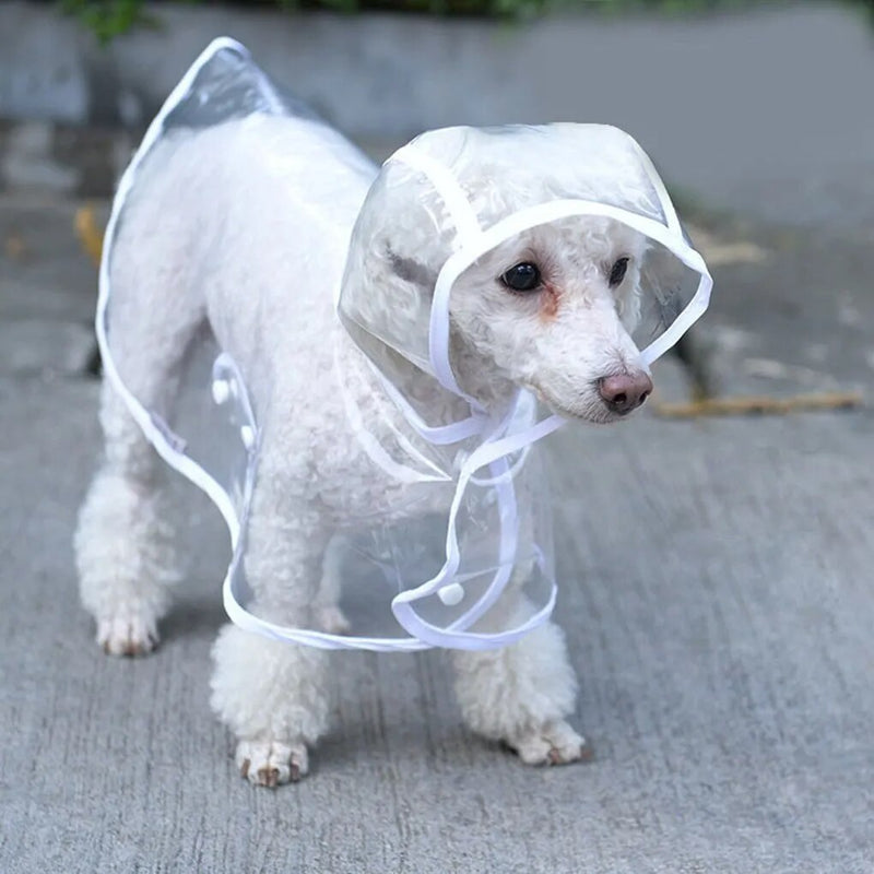 Lightweight Clear Dog Raincoat