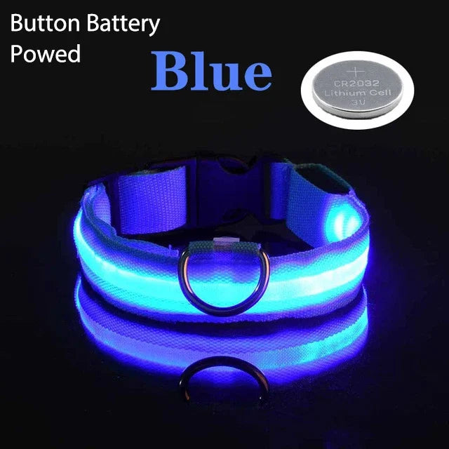 Dog Collar for Night Walking - LED