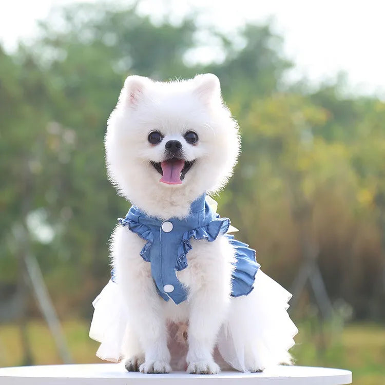 Princess-Style Pet Dress