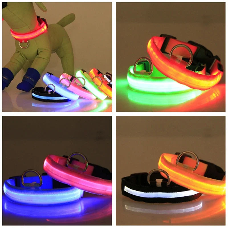 Dog Collar for Night Walking - LED