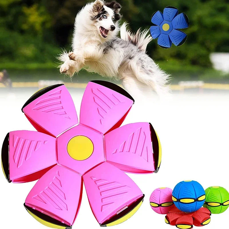 Magic UFO Ball - Pet Interactive Toy