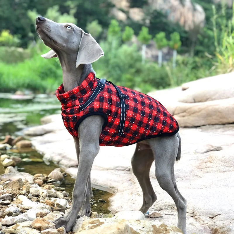 Dog Jacket With Harness -Waterproof