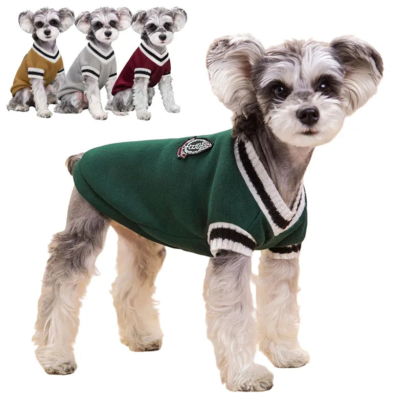 Pet College Sweater