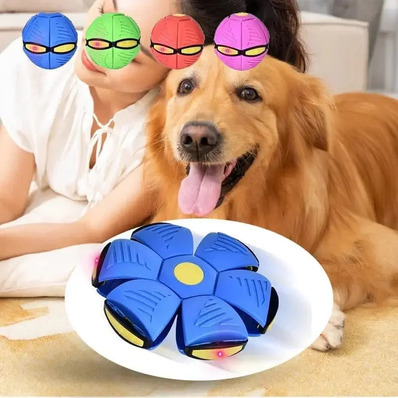 Magic UFO Ball - Pet Interactive Toy