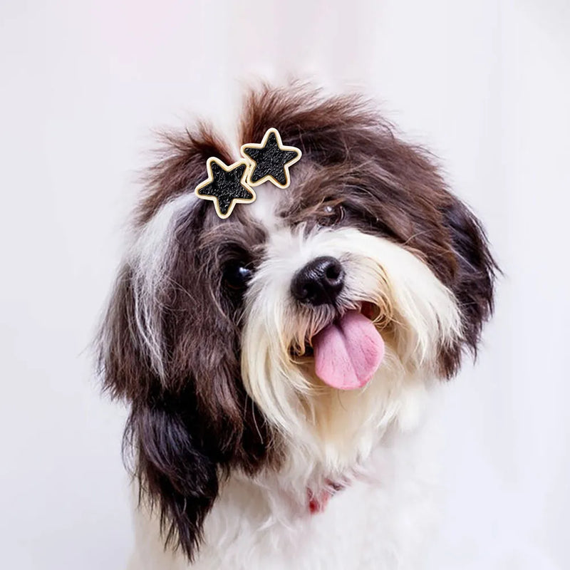 Dog Hair Clip Glasses Shape