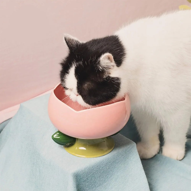 Cute Ceramic Pet Bowl