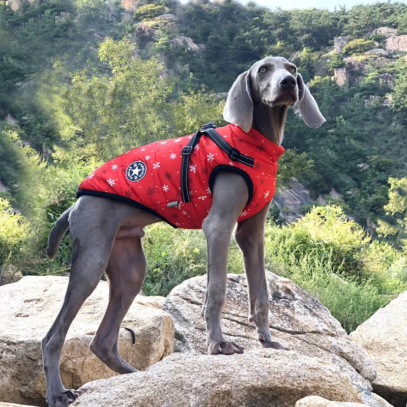 Dog Jacket With Harness -Waterproof