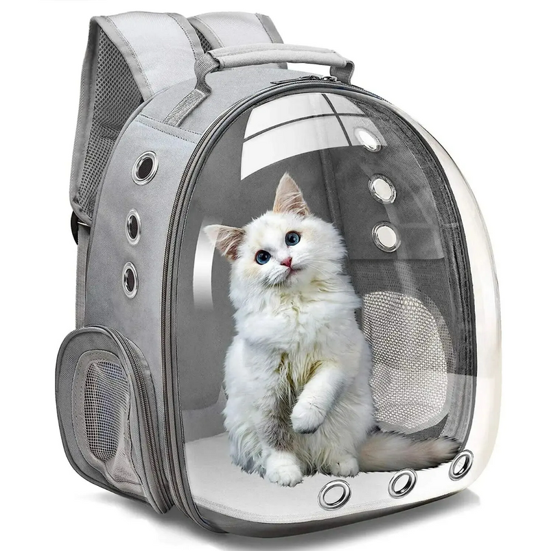 Clear Backpack Pet Carrier