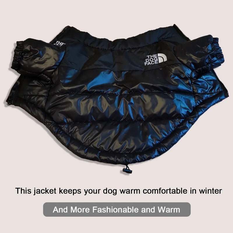 The Dog Face - Pet Windproof Jacket