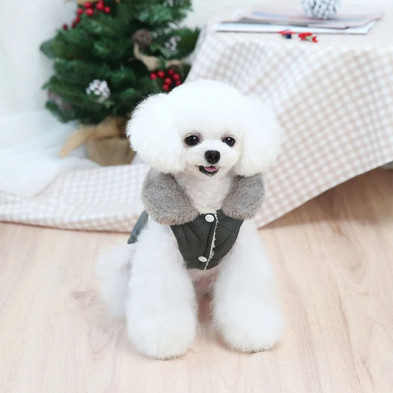 Essential Winter Dog Coat