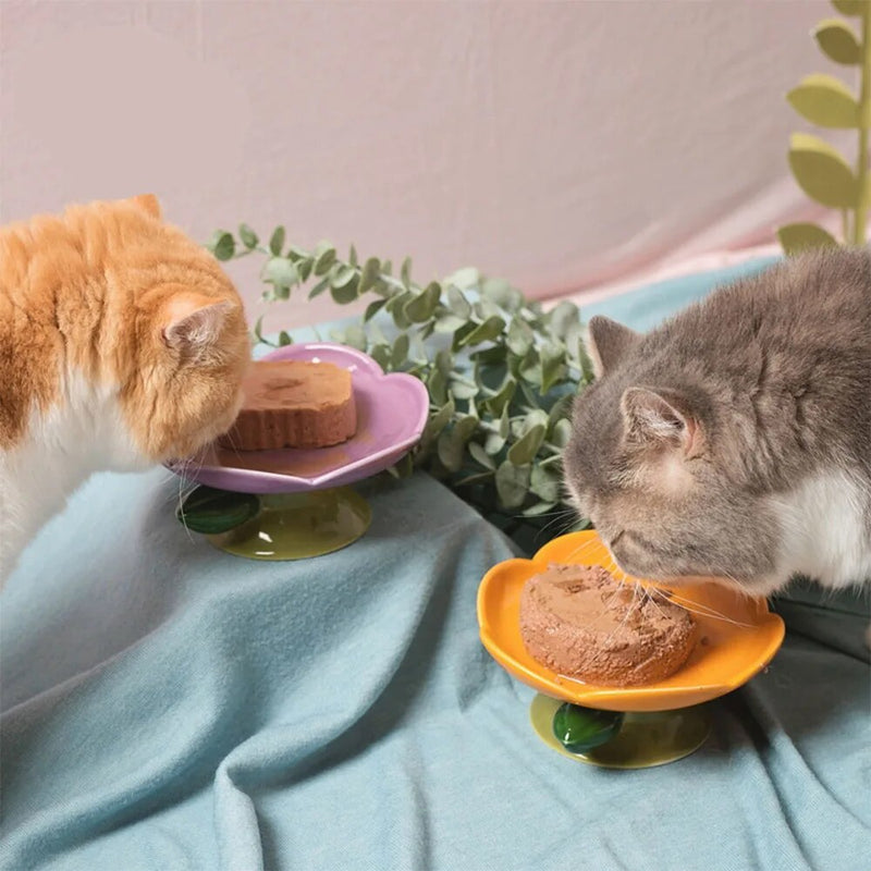 Cute Ceramic Pet Bowl