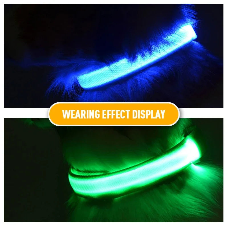 Dog Collar for Night Walking - LED