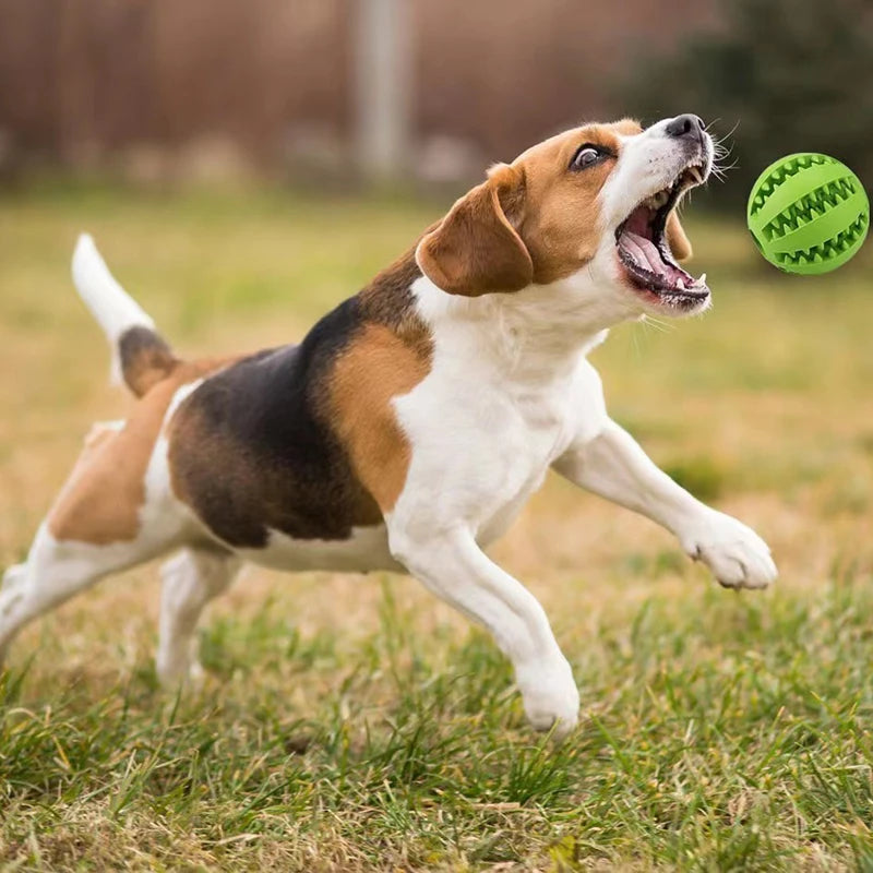 Silicone Pet Dog Toy Ball Interactive Bite-resistant