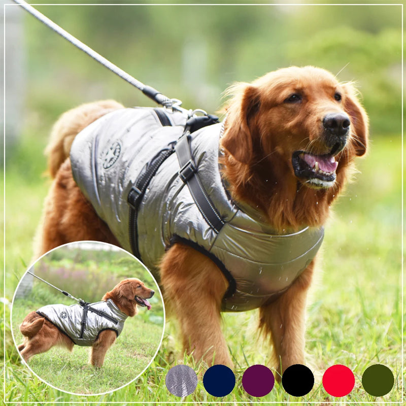 Dog Jacket With Harness -Waterproof