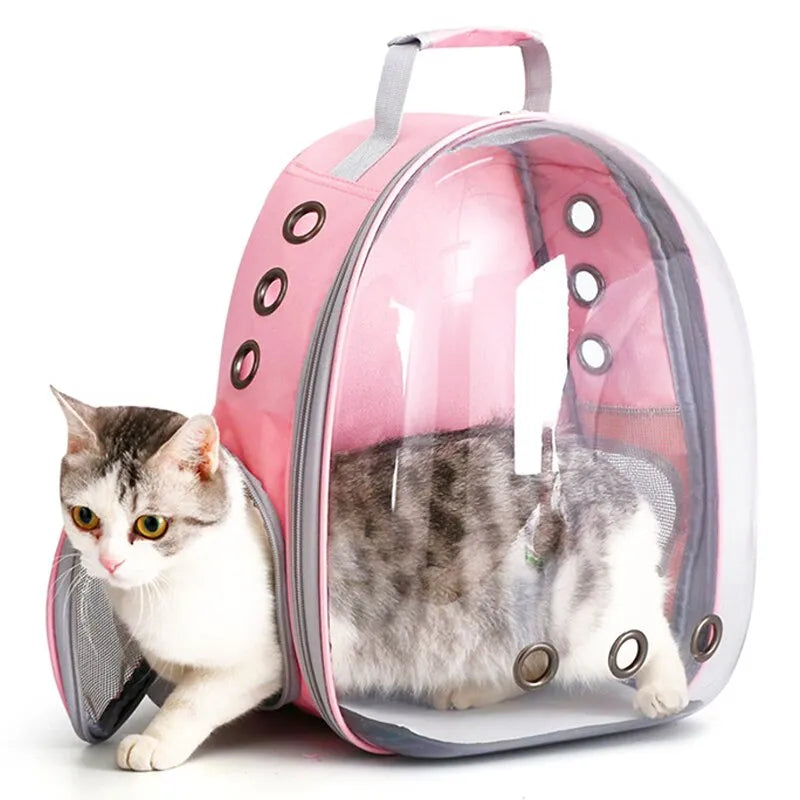 Clear Backpack Pet Carrier