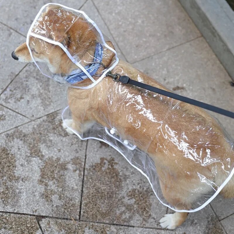 Lightweight Clear Dog Raincoat